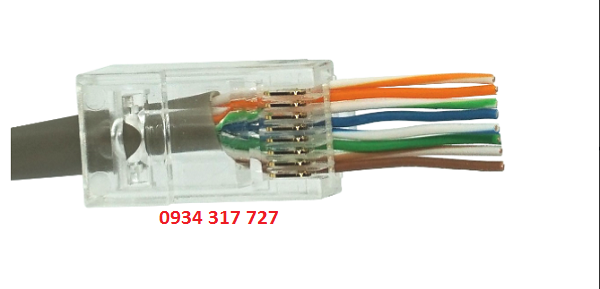 Đầu bấm, Hạt mạng RJ45 Xuyên thấu Dintek cao cấp